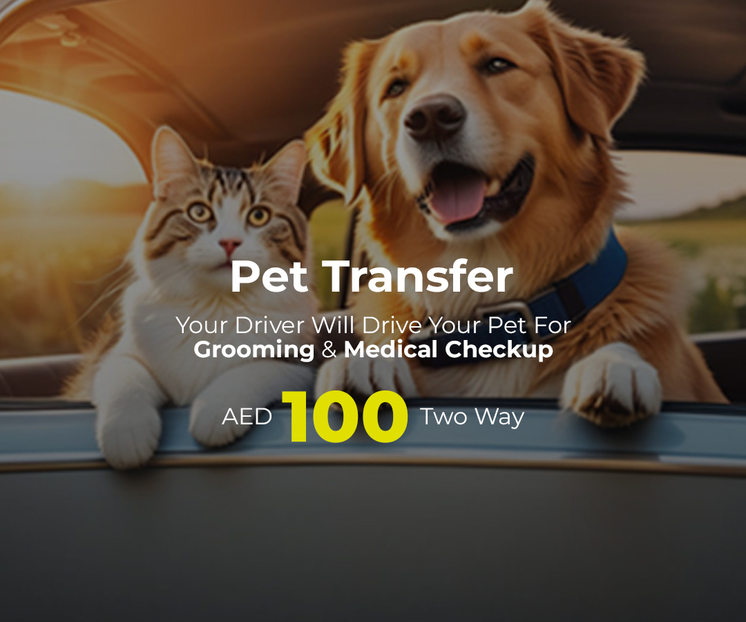 Safe Driver Check Off Your Driver - The Best Safe Driver Services
